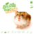 Knaagdierwinkel® Sniffing Box Dwarf Hamster #12