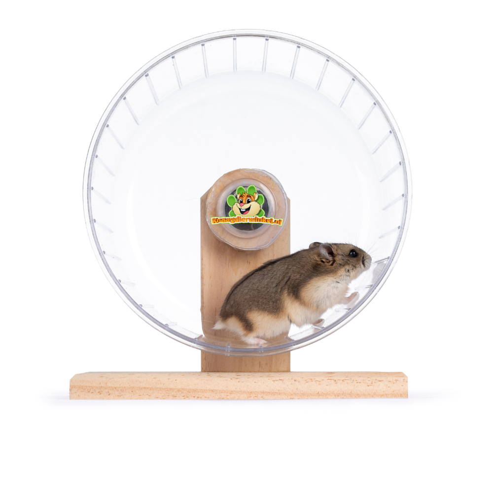 Potentieel Anders Gemeenten Koop Hamster Loopradjes eenvudig en snel in de Hamster Webshop! | DRD  Knaagdierwinkel®