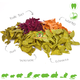 Ham-Stake Birkenchips 100 Gramm
