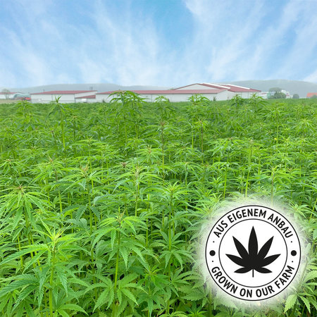 JR Farm Grainless Health CBD Sticks