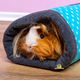 Bunny Nature Fleecy Tunnel 28 cm