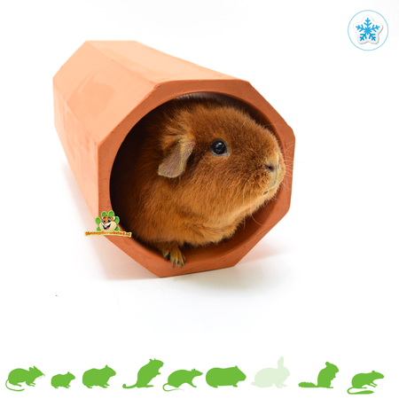 Elmato Túnel para roedores de terracota redondo de 34 cm para roedores y conejos.