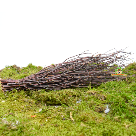 Hugro ¡Mordiste escoba de abedul para roedores y conejos!