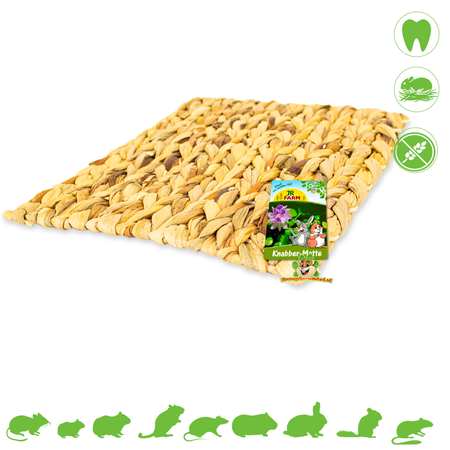JR Farm Knaagdier Knabbel Mat 33 cm