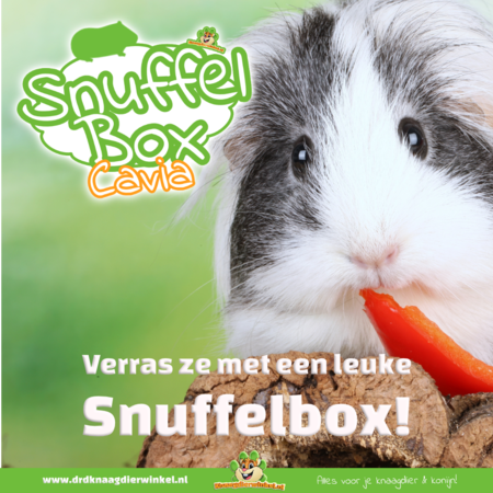 Knaagdierwinkel® Guinea Pig Sniffing Box #15