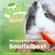 Knaagdierwinkel® Guinea pig sniffing box #06