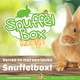 Knaagdierwinkel® Sniffing Box Rabbit #09