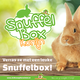 Knaagdierwinkel® Snuffle box Rabbit #06