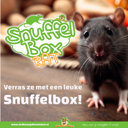Knaagdierwinkel® Rat Snuffle Box #14