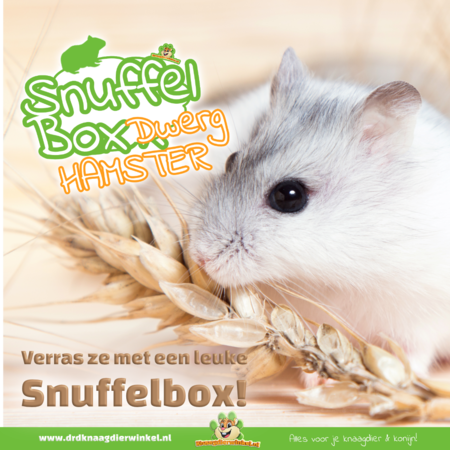 Knaagdierwinkel® Snuffelbox Dwerghamster #17