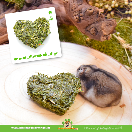 Ham-Stake Nibble Heart Pietruszka 80 gramów