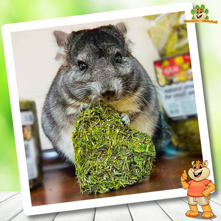 Ham-Stake Nibble Corazón Perejil 80 gramos