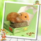 Mealberry Little One Grain-Free Vegetable Pizza 55 grams