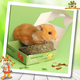 Mealberry Little One Grain-free Vegetable Pizza for rodents and rabbits!