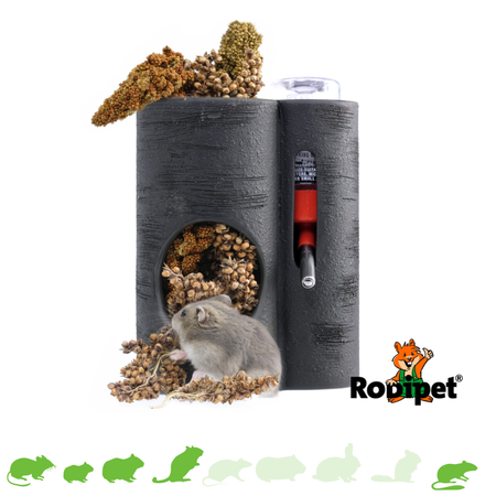 Rodipet EasyClean Trinkflaschenhalter-Set mit Trinkflasche