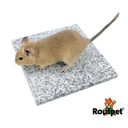 Rodipet Pierre rafraîchissante Granit 18 cm