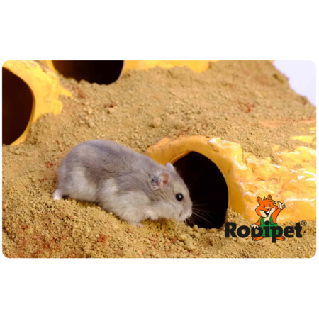 Keramiek Rots Huis Zandsteen