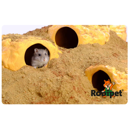 Keramiek Rots Huis Zandsteen