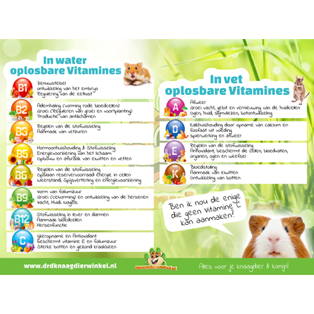 Beaphar Vitamine C tabletten