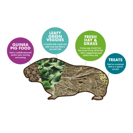 Supreme Selective Guinea Pig Food - Healthy Guinea Pig Food!