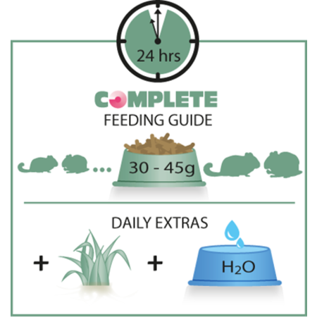 Versele-Laga Alimento completo para chinchillas y degús | Alimento para chinchillas y masa