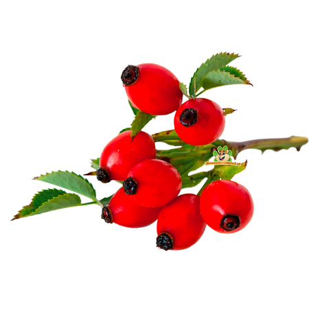 Hugro Gedroogde Rozenbottels Heel voor Knaagdieren & Konijnen!