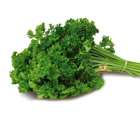 JR Farm Parsley stems