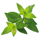 Versele-Laga Mountain Meadow Heu Minze 500 Gramm