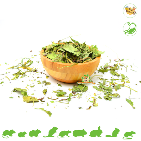 Knaagdier Kruidenier ¡Plátano seco para roedores y conejos!