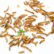 Knaagdierwinkel® Dried Mealworms