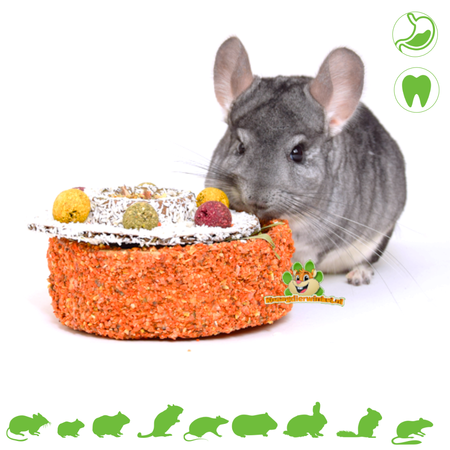 JR Farm Karottenkuchen mit Nagetiergeschmack