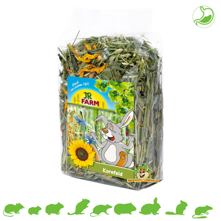 JR Farm Mieszanka pola pszenicy