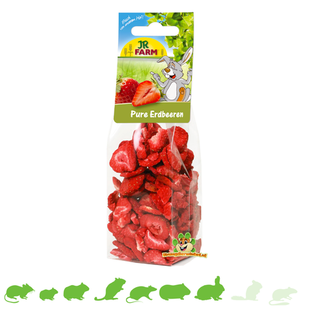 JR Farm Fresas deshidratadas puras 20 gramos