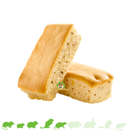Versele-Laga ¡Galletas crujientes con frutos secos para roedores!