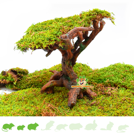 Hamsterscaping Rodent Bonsai 22 cm made of Resin