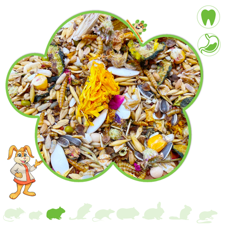 Mixerama Menu dla smakoszy Nessas Goudhamster 500 gramów