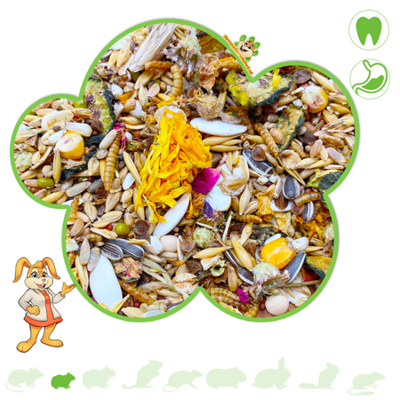 Mixerama Dwarf Hamster Zwergenzauber Magic 500 grams