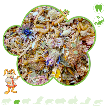 Nessas Roborovski Dwarf Hamster Gourmet Menu 500 grams