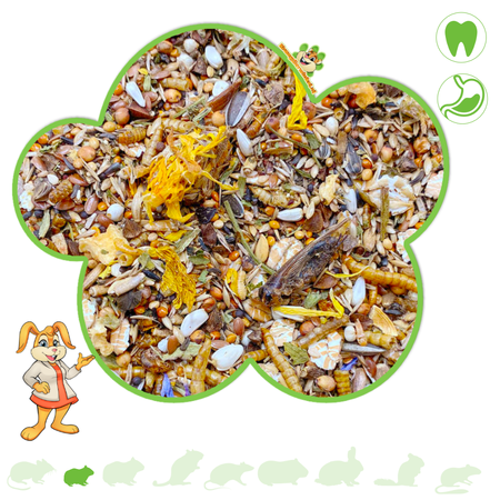 Hosannah's Russian Dwarf Hamster Gourmet Menu 500 grams