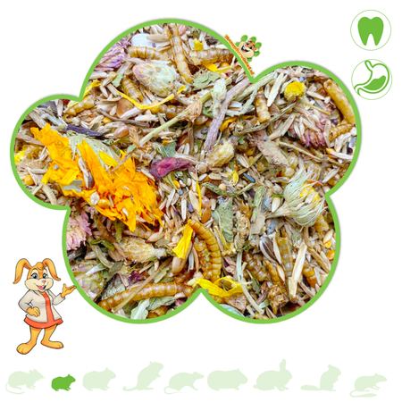 Mixerama Campbell's Zwerghamster-Gourmetmenü 500 Gramm