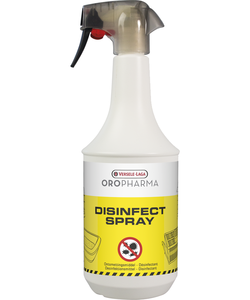 Desinfektionsspray 1 Liter