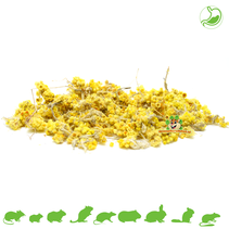 Yellow Flower Daisies 50 grams