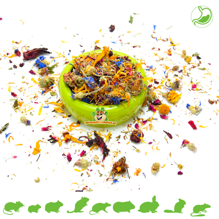 Gedroogde Bloesem Mix 150 gram voor Knaagdieren & Konijnen!