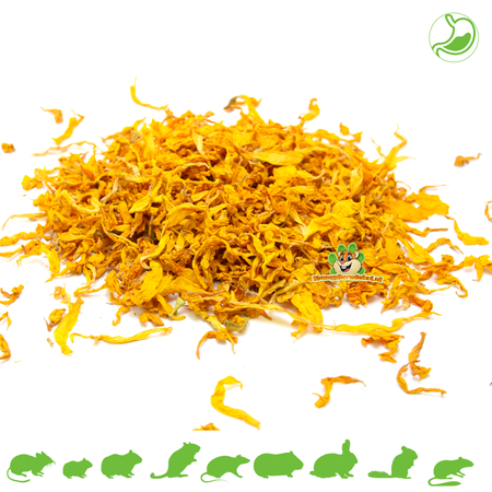 Feuilles de tournesol pour rongeurs et lapins !