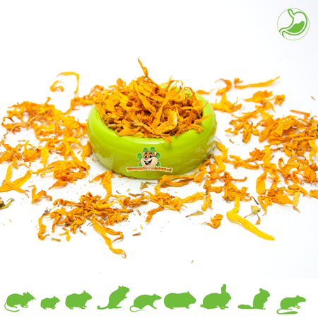 Feuilles de tournesol pour rongeurs et lapins, 70 grammes