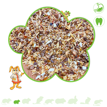 Mixerama Menu de base pour hamster nain Nourriture pour hamster nain