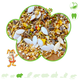 Mixerama Menu de base Golden Hamster Nourriture pour hamster