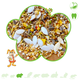 Mixerama Podstawowe menu Golden Hamster Pokarm dla chomika