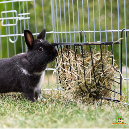 Trixie Râtelier à foin en métal à suspendre 20 cm avec toit