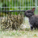 Trixie Heuraufe aus Metall zum Aufhängen 20 cm mit Dach